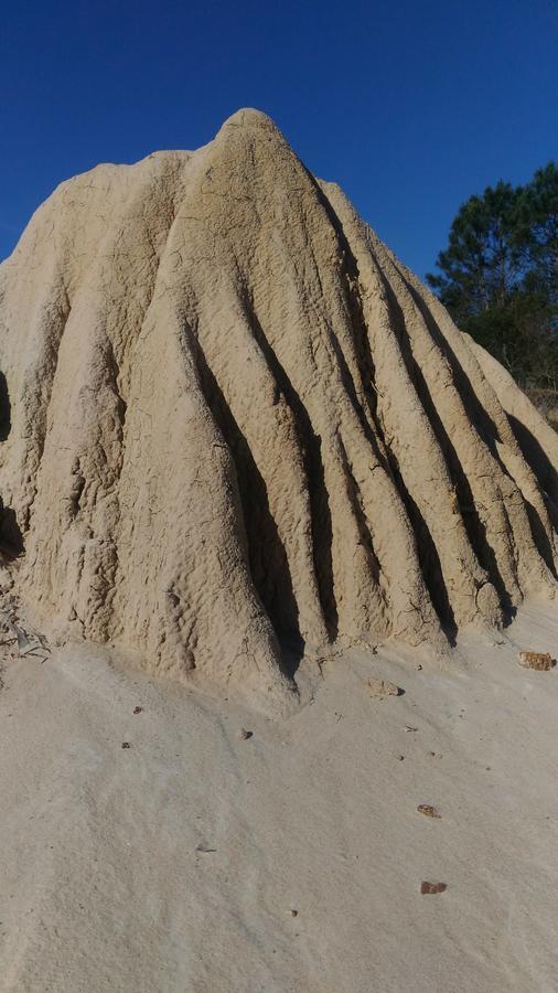 La Pedrasanta Ξενοδοχείο La Pedrera Εξωτερικό φωτογραφία